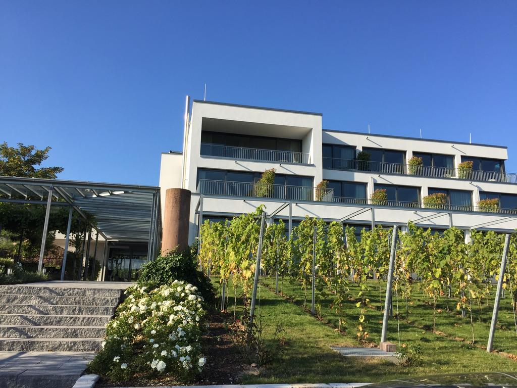 Heitlinger Hof Hotel Tiefenbach  Exterior photo